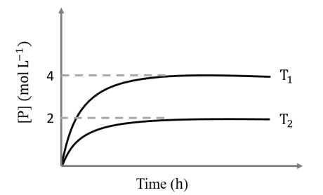 Plot of [P] vs Time