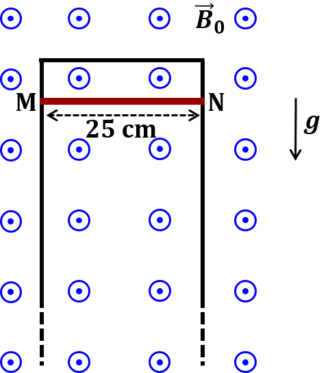 Rod MN on vertical rails in magnetic field