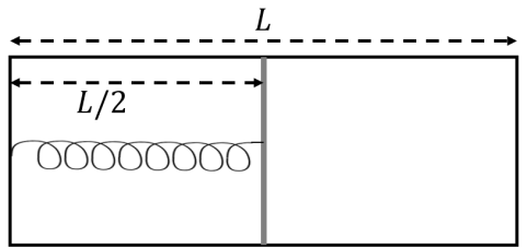 Container with piston and spring